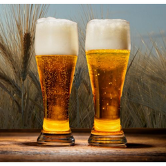 Copo Cerveja Berlin 560ml em vidro Class Home