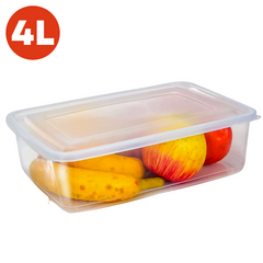 Caixa Retangular Tampa Hermética 4L Erca Plast