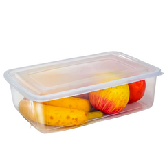 Caixa Retangular Tampa Hermética 4L Erca Plast