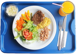 Bandeja em Polipropileno Home Azul HomePlas
