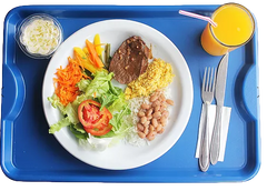 Bandeja em Polipropileno Home Azul HomePlas