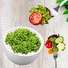 Tigela Bowl Oriental de 500ml Branca VemPlast