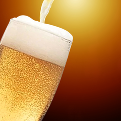 Copo Tulipa para Chopp em Policarbonato VemPlast