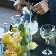 Taça Gin Tônica 600ml Elegante Nadir