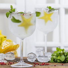 Taça Salut para Gin em Policarbonato 510 ml VemPlast