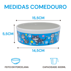 Comedouro Azul Gato de Porcelana 600ml BelaVista Comedouro