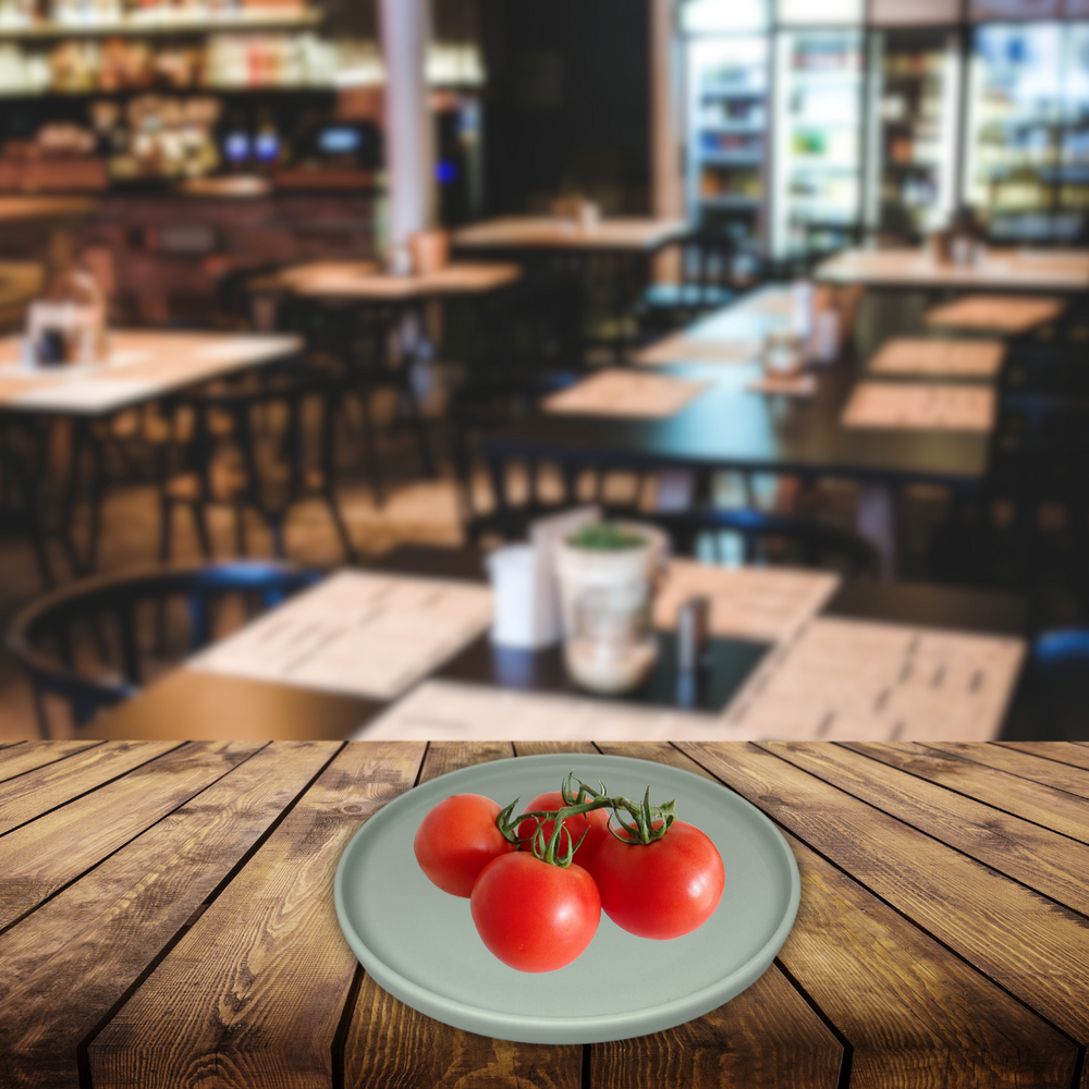 Prato Raso Oxford Menta de Porcelana Oxford Oxford