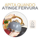 Chaleira Cinza Grey Com Apito 3 Litros
