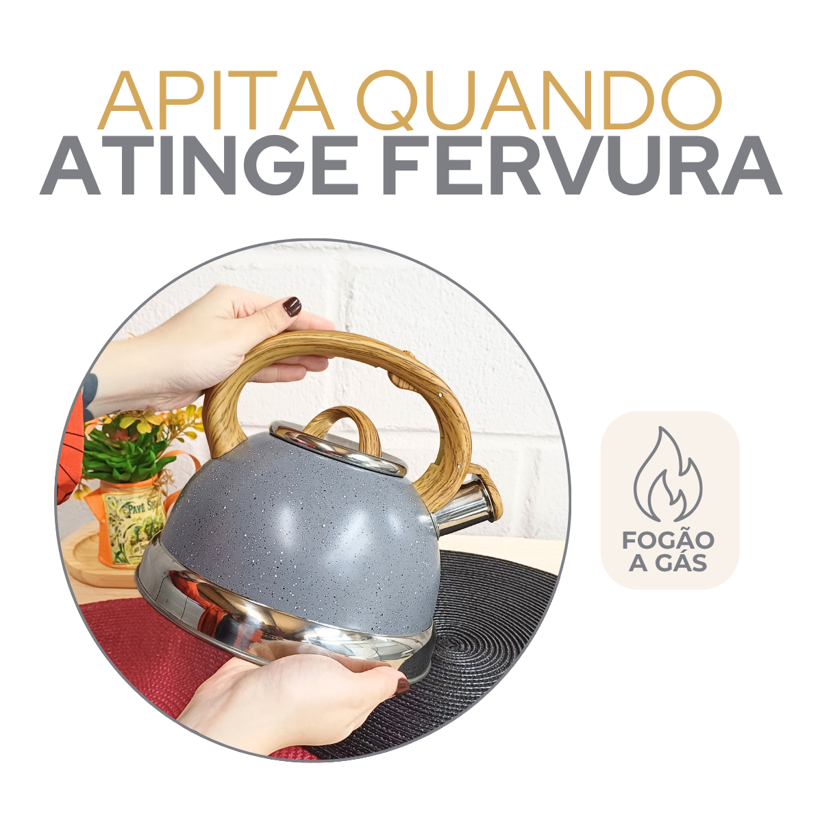Chaleira Cinza Grey Com Apito 3 Litros