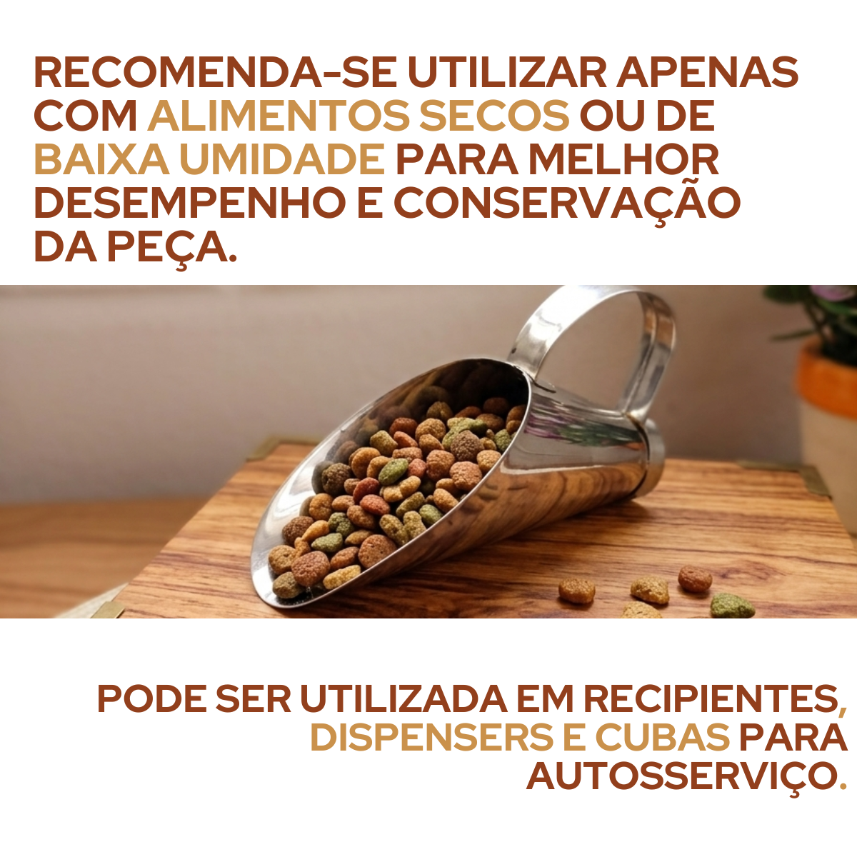 Concha de Cereais Aço Inox 150g