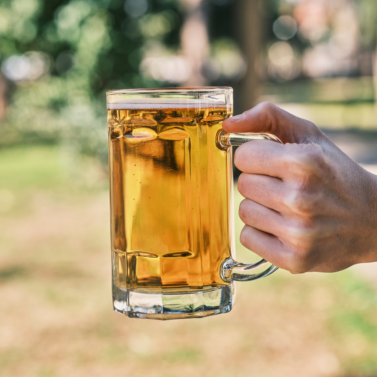 Caneca Chopp 500ml Vidro - A Gourmet