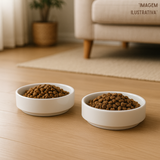 Comedouro De Porcelana Para Cachorro Pets Gato