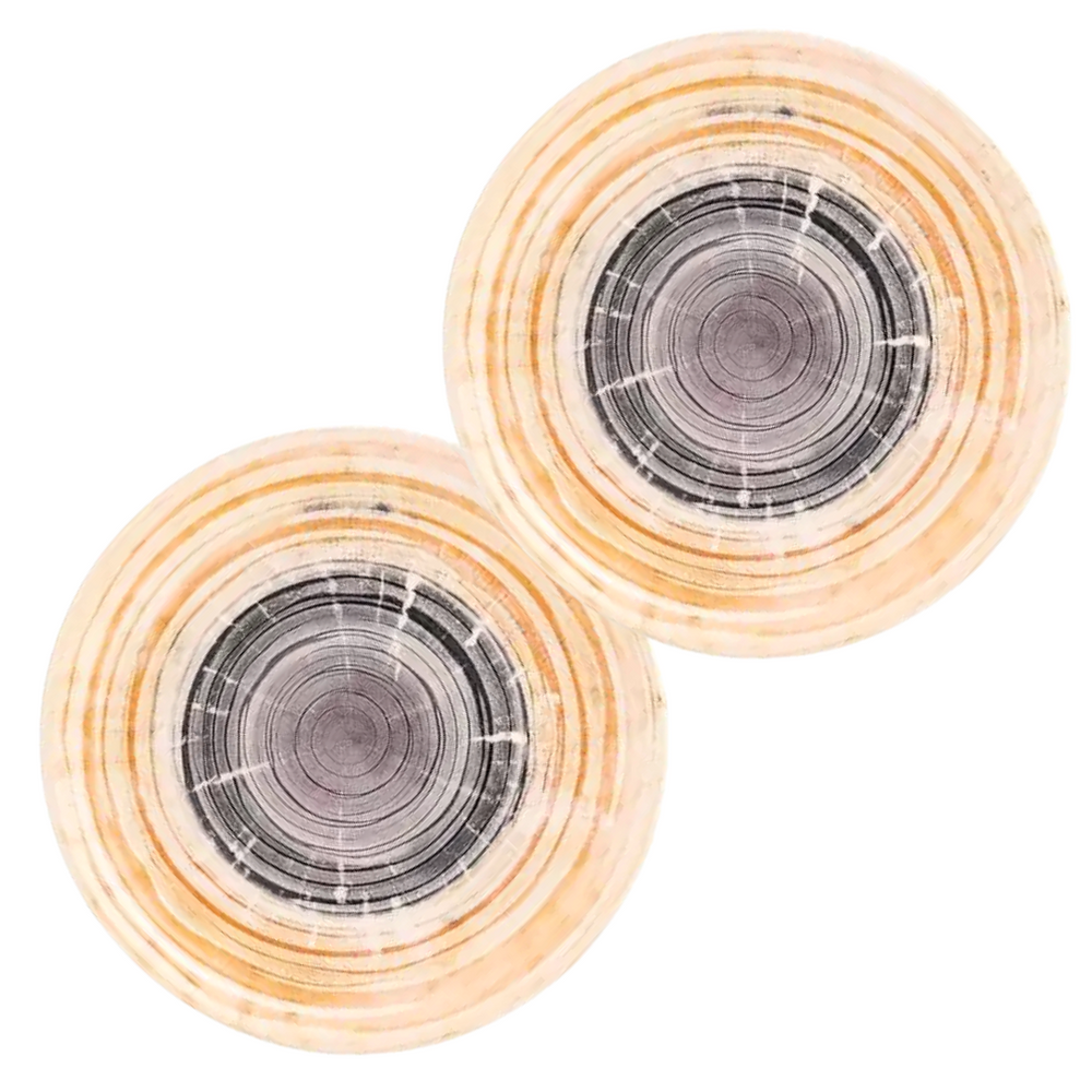 Prato Raso Puzzling Oxford 26cm Oxford