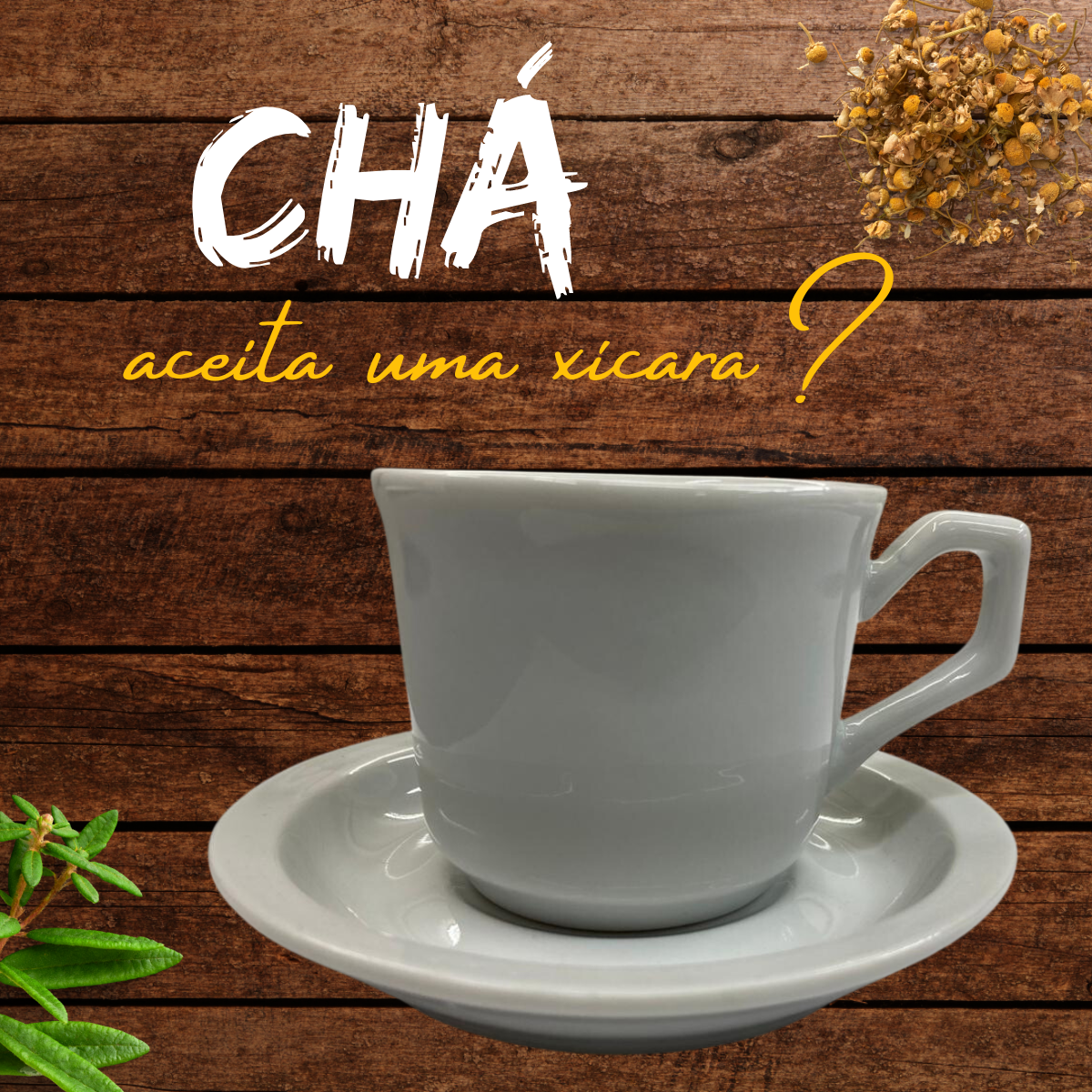 Xicara de Chá Paraná Lisa com Pires BelaVista