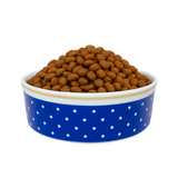 Comedouro Cães Gatos Porcelana 600ml Azul