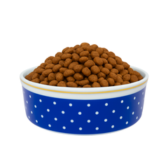 Comedouro Cães Gatos Porcelana 600ml Azul