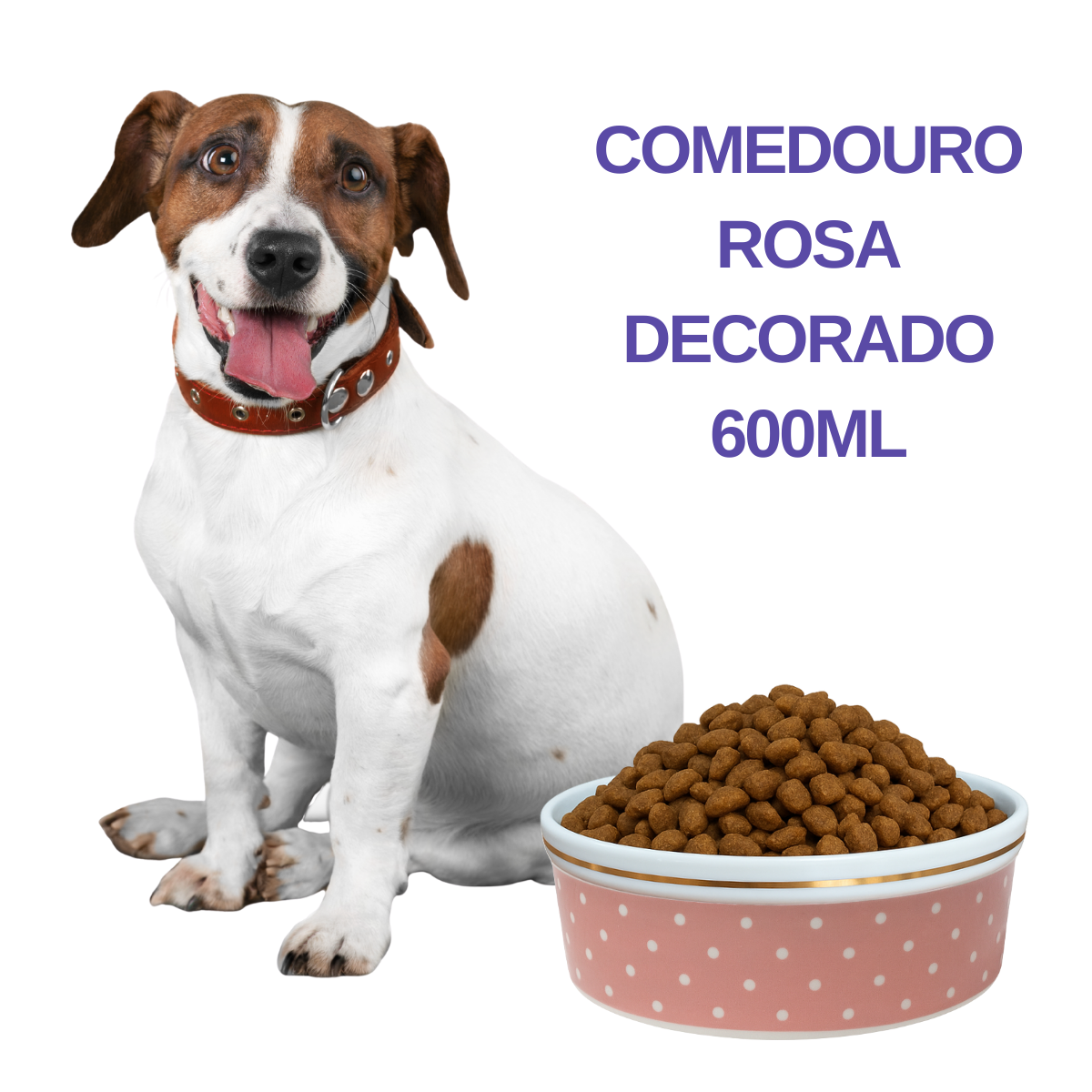 Comedouro Rosa de Porcelana 600ml