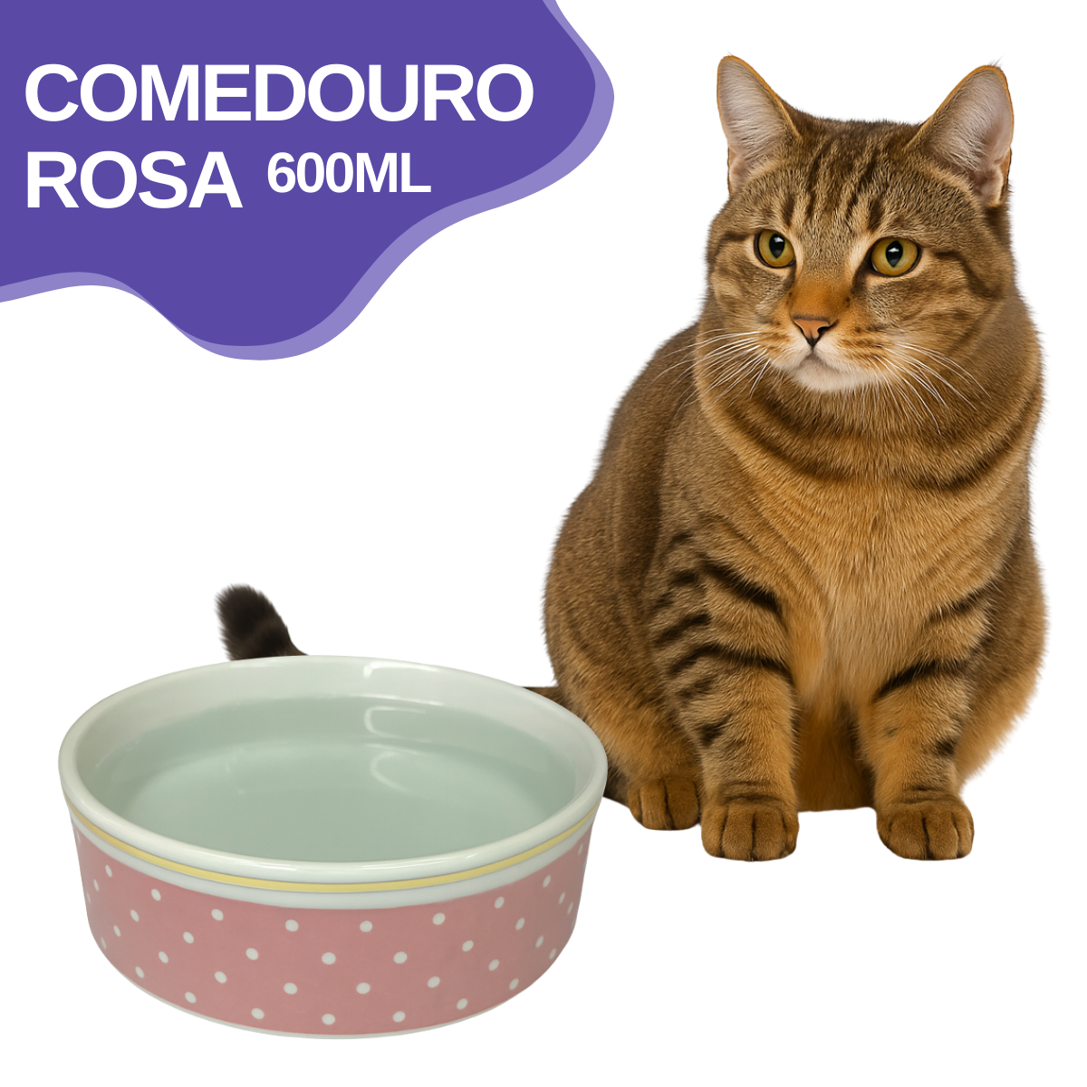 Comedouro Rosa de Porcelana 600ml