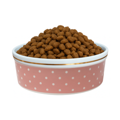 Comedouro Rosa de Porcelana 600ml