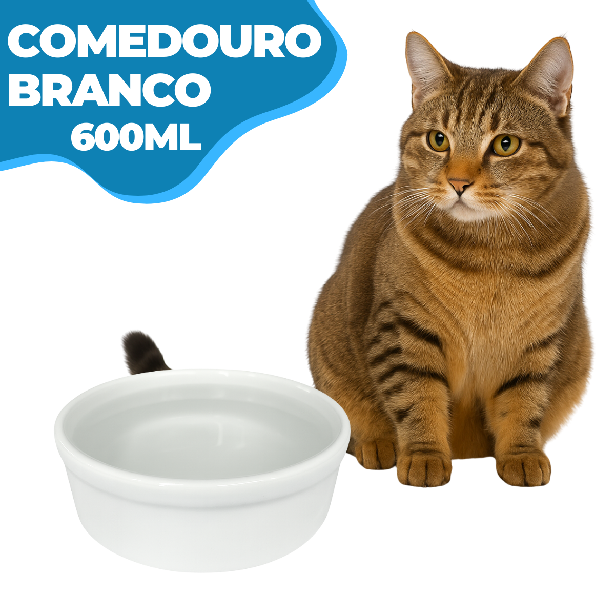 Comedouro pet porcelana 600ml Branco Rosa Vermelho e Azul