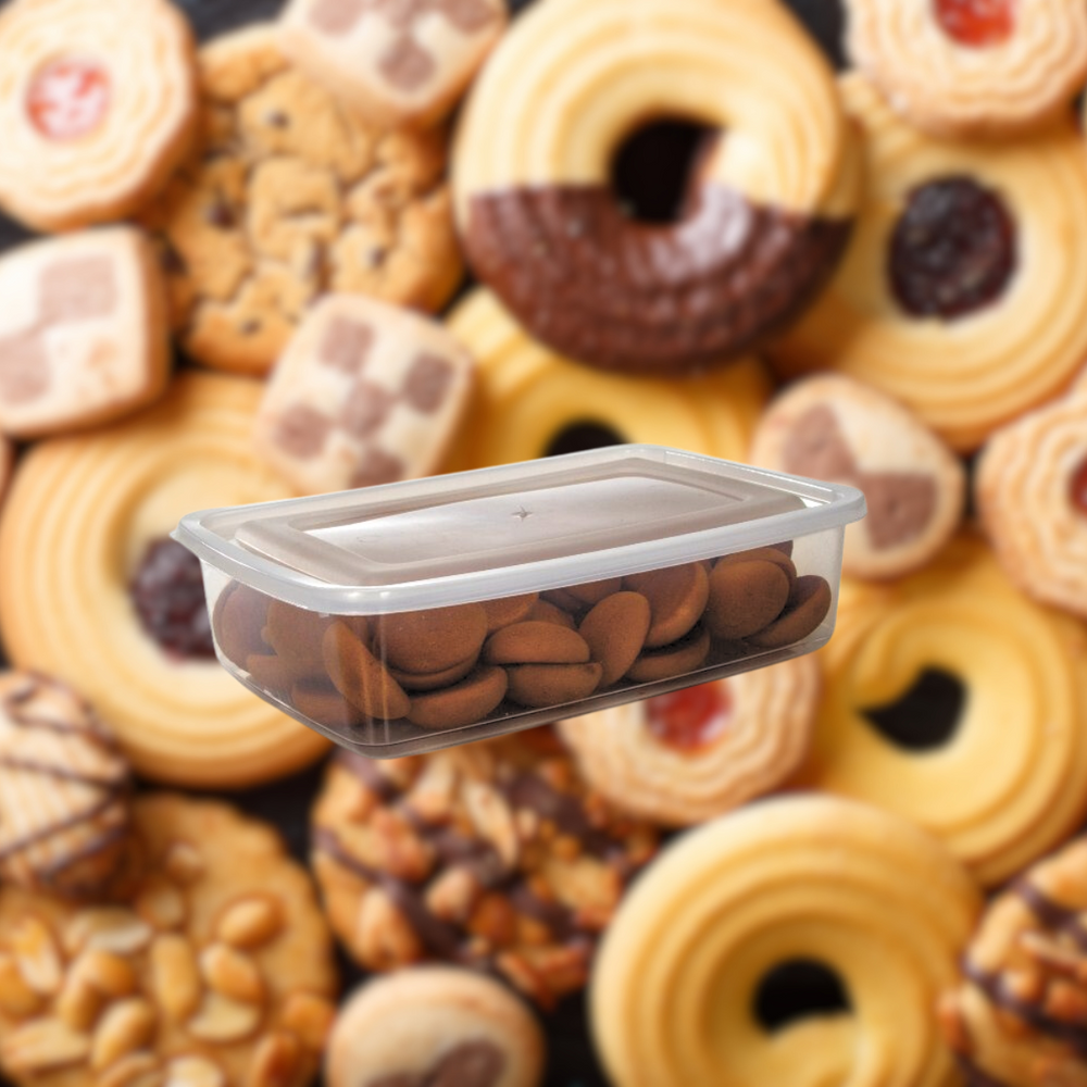 Pote Caixa Retangular 2,8L de Plástico Erca Plast