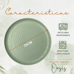 Prato Raso Oasis 26cm Cerâmica - A Gourmet