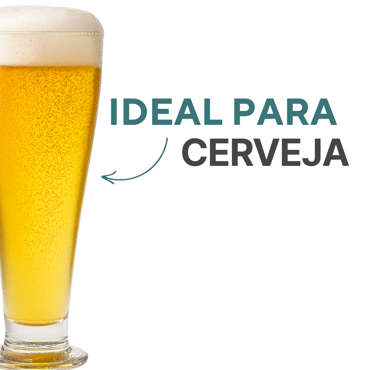 Copo Cerveja Tulipa 300ml