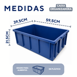 Caixa Organizadora Com Tampa 36L Azul