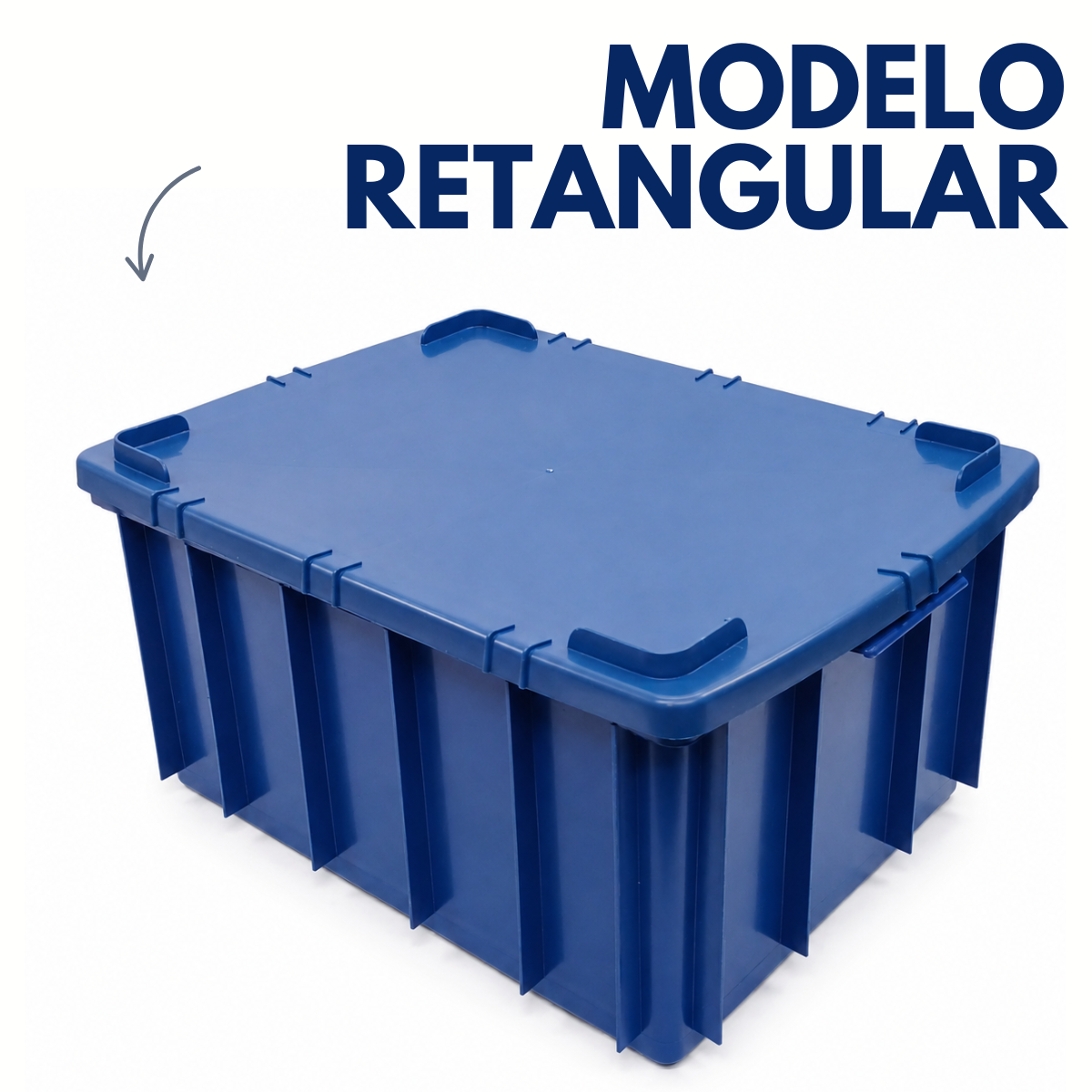 Caixa Organizadora Com Tampa 26L