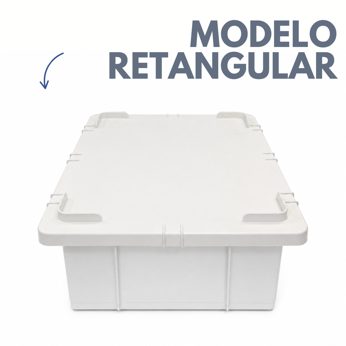 Caixa Organizadora Com Tampa 15L