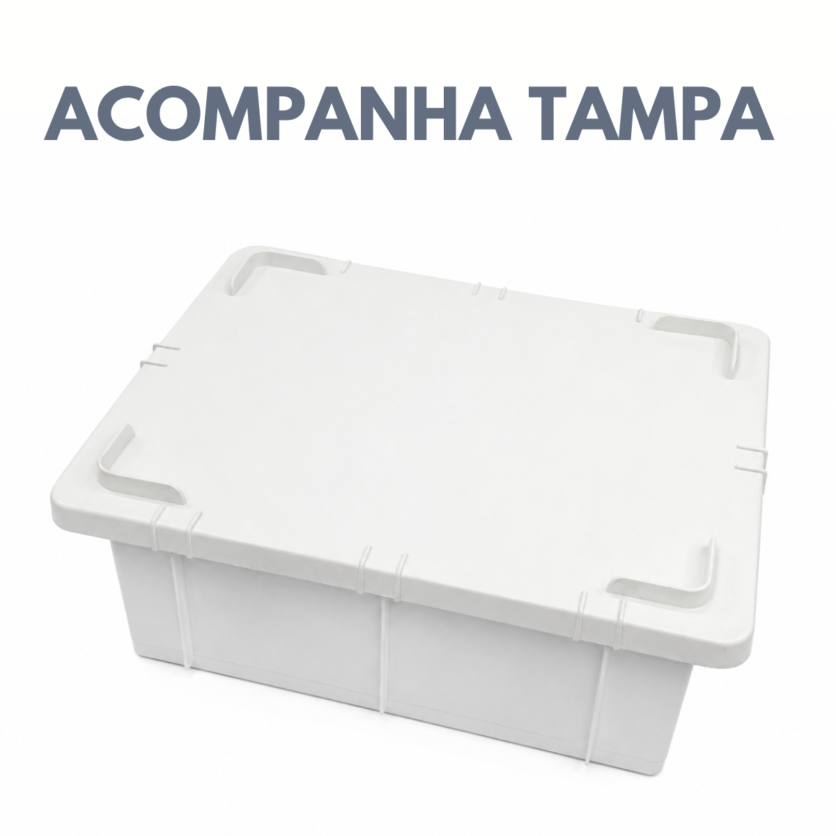 Caixa Organizadora Com Tampa 15L