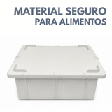 Caixa Organizadora Com Tampa 15L