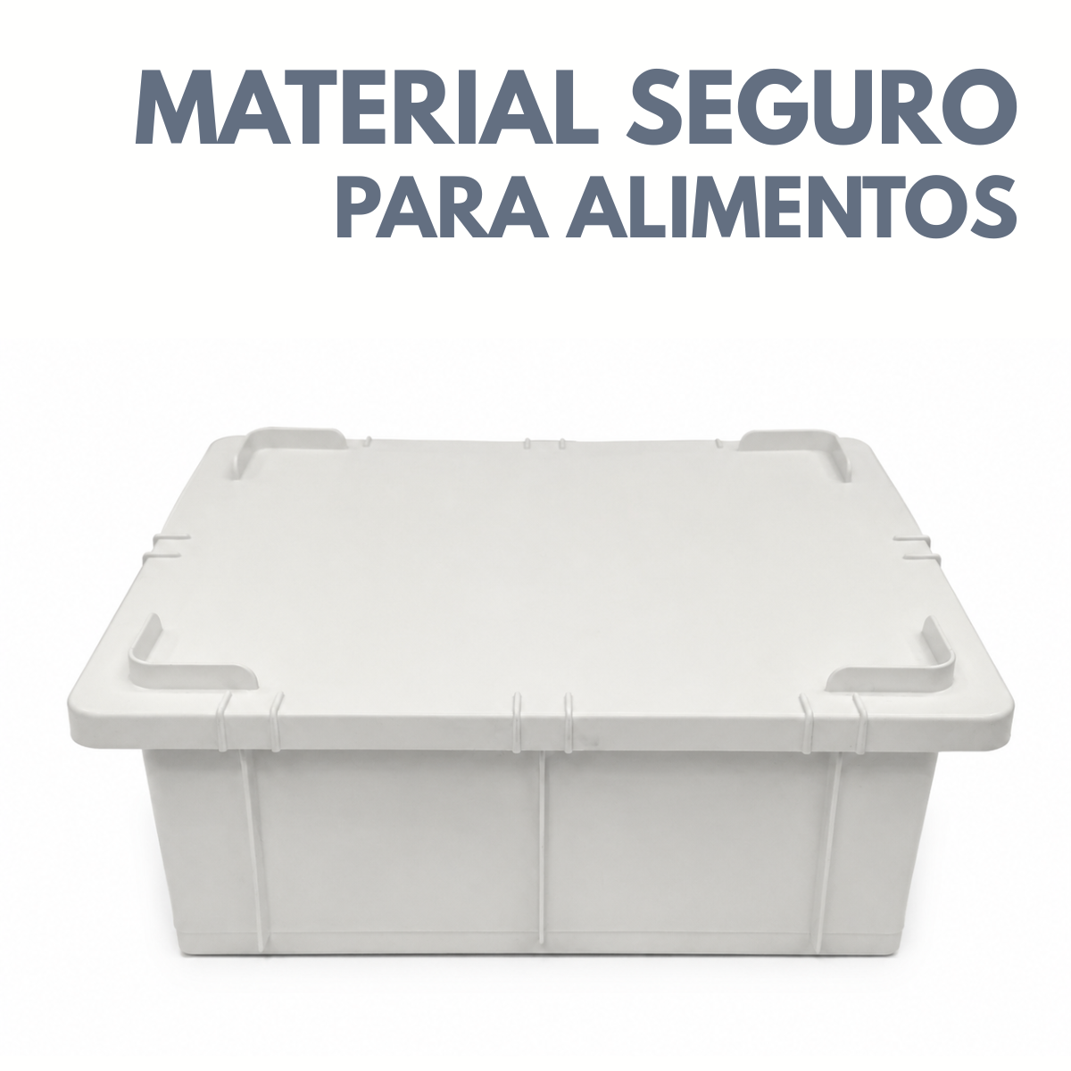 Caixa Organizadora Com Tampa 15L