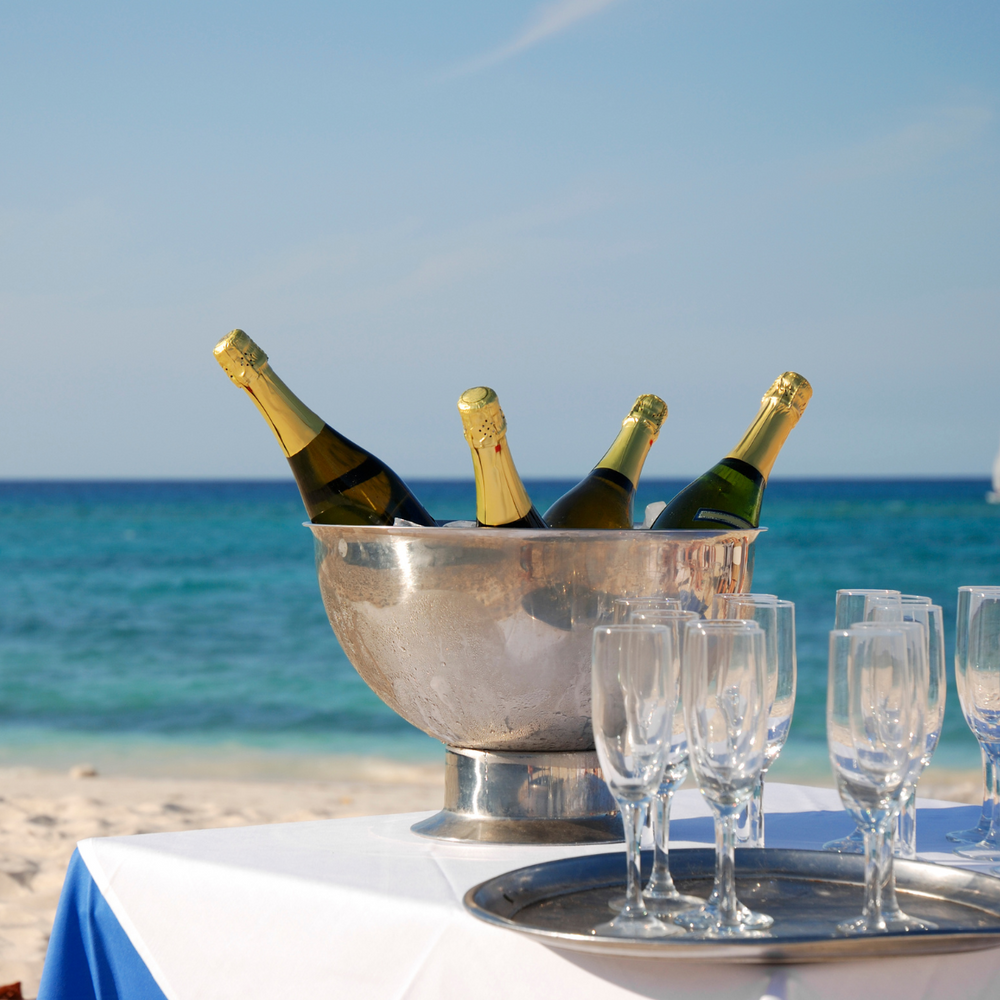 Taça Champangne Windsor de Vidro 210ml Nadir