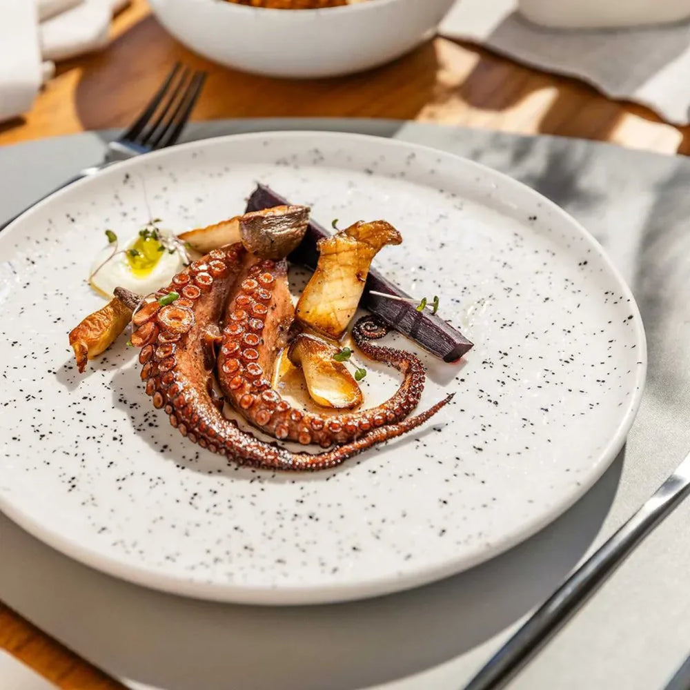 Conjunto de 6 Prato Raso Chuvisco Oxford - A Gourmet