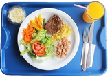 Bandeja em Polipropileno Home Azul HomePlas