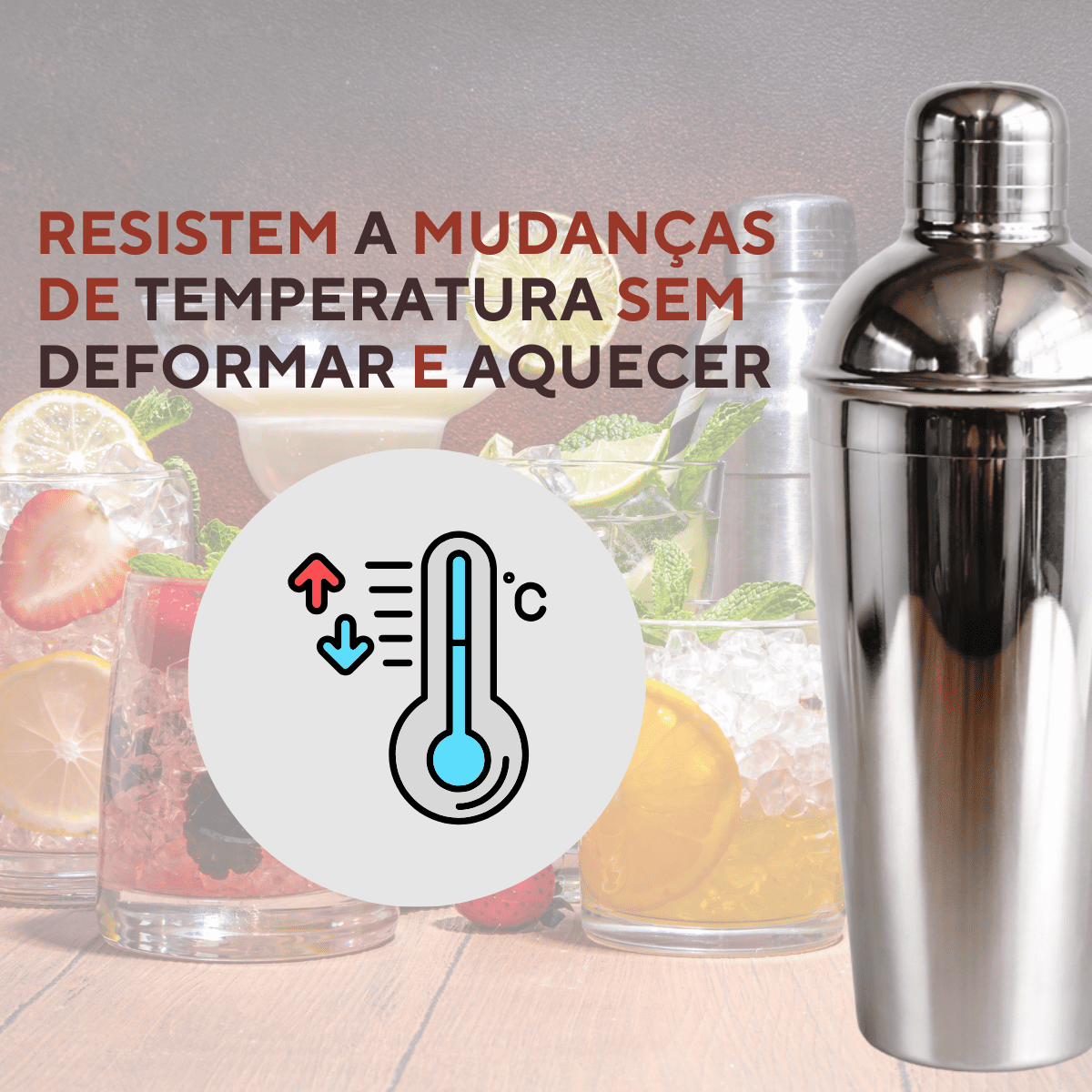 Coqueteleira Aço Inox 750ml