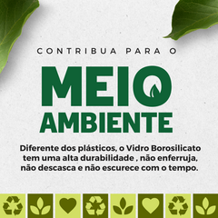 Conjunto 4 Canudos Boro Com Escova de Limpar - A Gourmet