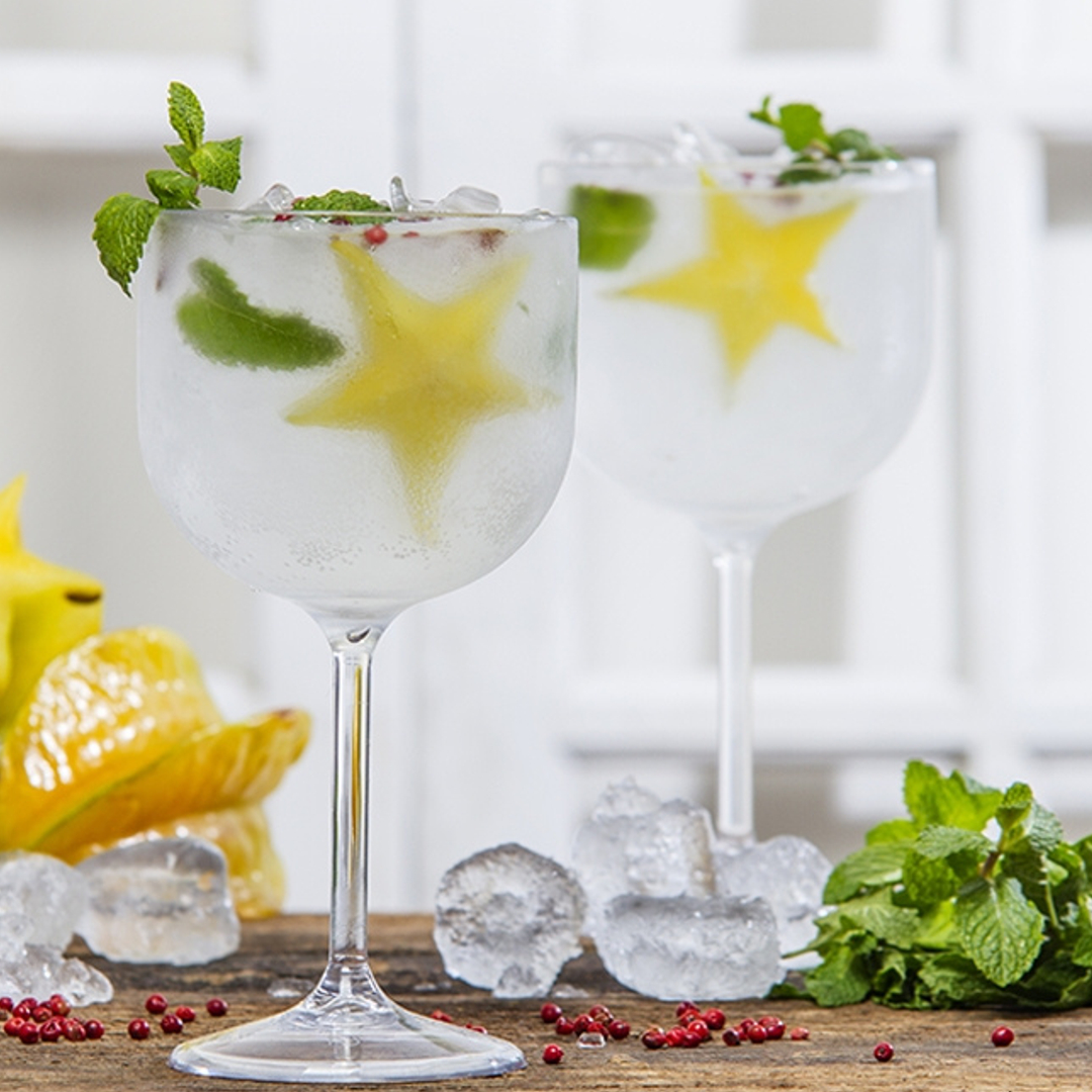 Taça Salut para Gin em Policarbonato 510 ml VemPlast